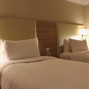 Superior Runway View Twin Room